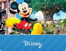 Disney Terrocean